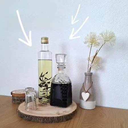 Ivica Apartman Boljenovici